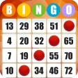 Absolute Bingo icon
