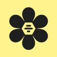 BFF: Make Friends & Meet Up icon