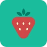 BLW Meals: Starting Solids icon