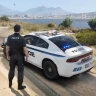 US Police Car Chase Game icon