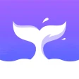 Rocnovel icon