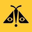 Concert Archives icon