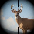 Trophy Hunter - Sniper Game icon
