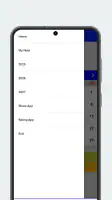 2025 Calendar screenshot
