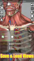 3D Anatomy screenshot