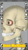 3D Anatomy screenshot