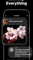 AI Chatbot - Nova screenshot