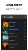 All Video Downloader - Browser screenshot