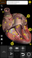 Anatomy 3D Atlas screenshot