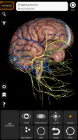 Anatomy 3D Atlas screenshot