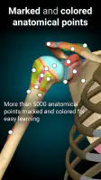 Anatomy Learning - 3D Anatomy screenshot