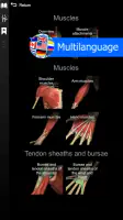 Anatomy Learning - 3D Anatomy screenshot