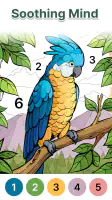 Anima Color - Paint by Number screenshot