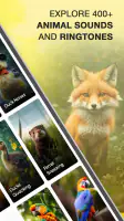 Animal Sounds and Ringtones screenshot