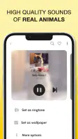 Animal Sounds and Ringtones screenshot