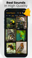 Animal sounds & wallpaper screenshot