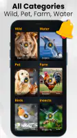 Animal sounds & wallpaper screenshot