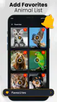 Animal sounds & wallpaper screenshot