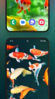 3D Aquarium Live Wallpaper screenshot