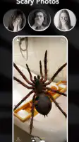 AR Spiders & Co: Scare friends screenshot