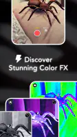 AR Spiders & Co: Scare friends screenshot