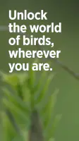 Audubon Bird Guide screenshot