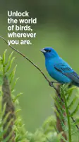 Audubon Bird Guide screenshot