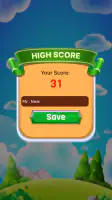 Ball Dropper screenshot