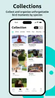 Birdfy screenshot
