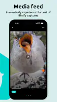 Birdfy screenshot