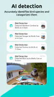 Birdfy screenshot