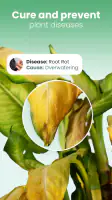 Blossom - Plant Identifier screenshot