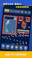 Bricks Ball Crusher screenshot