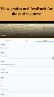 Brightspace Pulse screenshot