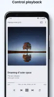 BubbleUPnP UPnP/DLNA License screenshot