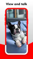 Camy — Live Video CCTV screenshot