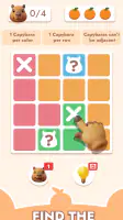 Capydoku screenshot