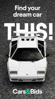 Cars & Bids screenshot