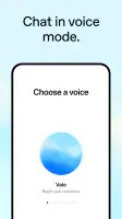 ChatGPT screenshot
