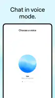 ChatGPT screenshot
