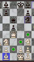 Chess Pro screenshot
