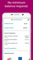 Classic Netspend screenshot