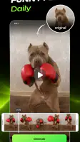 ClawDance: AI Video Generator screenshot