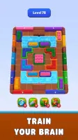 Color Block Run - Puzzle Game screenshot
