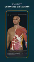 Complete Anatomy screenshot