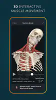 Complete Anatomy screenshot