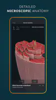 Complete Anatomy screenshot