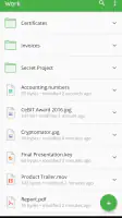 Cryptomator screenshot