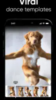 Dance AI: AI Dance Video Maker screenshot