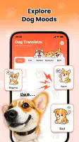Dog Translator - Human to Pet screenshot